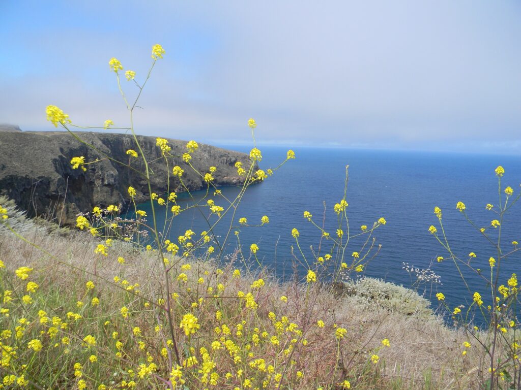 8 Best National Parks In California