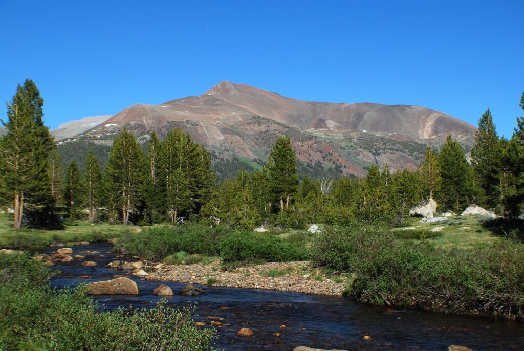 Best Area to Stay in Yosemite